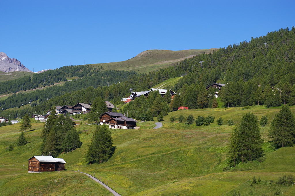 Intermonti